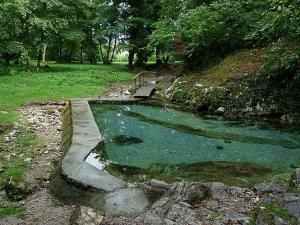 a small pool of blue water in a field at Apartment Prešeren in Smarjeske Toplice