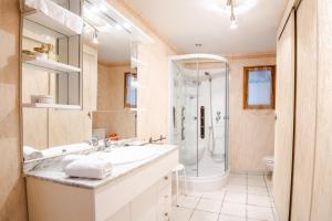a bathroom with a sink and a shower at L'Ancien relais de poste in La Croix-en-Touraine