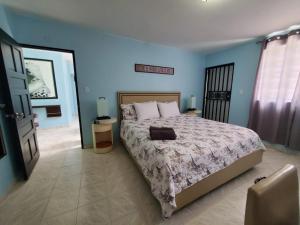 1 dormitorio con 1 cama grande y paredes azules en Near Beach, Rivers, Lagoon, Spring, Sleep up to 22, 2nd Floor, en Vega Baja