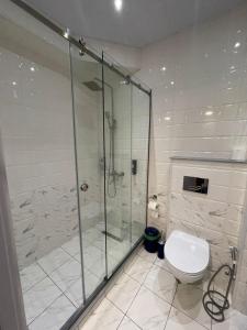a bathroom with a shower and a toilet at Brand new apartment near Gondola in Gudauri