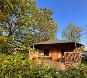 a cabin with a deck with a tent at Luxe Safaritent 6 persoons op Camping Rijsterbos in Rijs