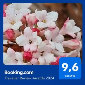 a bunch of pink and white flowers with the words travel review awards at Apartments AD Radenci in Radenci