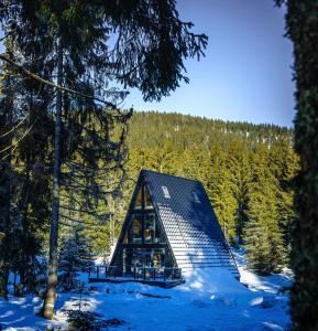 uma pequena cabana na floresta na neve em Black Chalet em Vartop