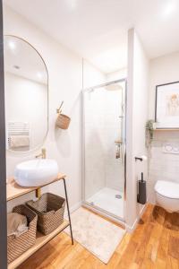 een badkamer met een douche, een wastafel en een toilet bij The cosy nest in the heart of Amboise in Amboise