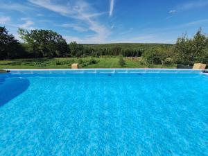 una grande piscina blu con vista su un campo di Apartman Plavac a Grubišno Polje