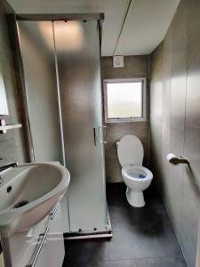 uma pequena casa de banho com WC e lavatório em Beach Resort Kamperland - RBR 313 em Kamperland