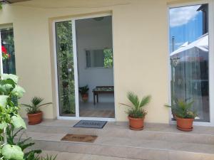 Zahrada ubytování Casa AnaMaria