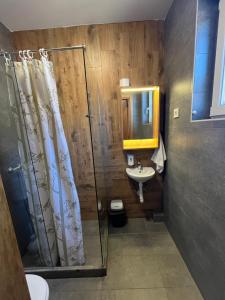 a bathroom with a shower and a sink at Terasa in Novi Sad