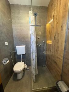 a bathroom with a toilet and a shower at Terasa in Novi Sad