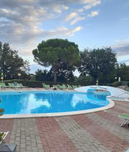 una grande piscina blu con sedie e alberi di VILLAGGIO ANDORA COLOMBO a Marina dʼAndora