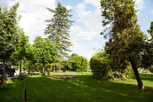 un parco con due grandi alberi e erba verde di Agriturismo Villa La Morina a Cortona