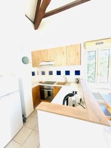 a kitchen with a sink and a counter top at Villa Reine in Nice