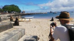 a person taking a picture of seals on the beach at Casa Playa Los Marinos in Puerto Baquerizo Moreno +10 photos