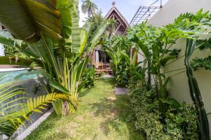 ogród na zewnątrz domu z drzewami i roślinami w obiekcie Karma House Ungasan w mieście Jimbaran