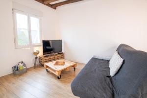 ein Wohnzimmer mit einem Sofa und einem TV in der Unterkunft Le boudoir d'adelaïs in Amboise