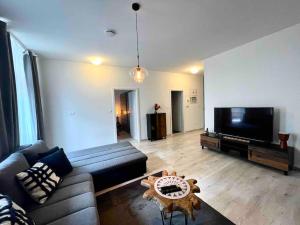 a living room with a couch and a flat screen tv at Amazing large 2,5rooms with terrace and parking! in Bratislava