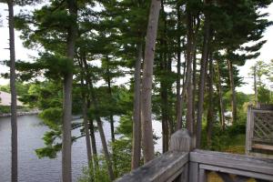 Gallery image of Milford Motel On the River in Milford