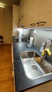 a kitchen with a sink and a counter top at Aquarius Resort in Lappajärvi