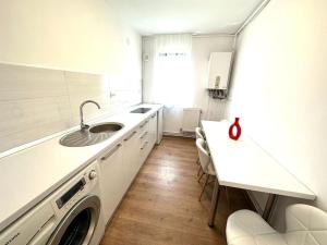 a kitchen with a sink and a washing machine at Carolina Residence in Alba Iulia