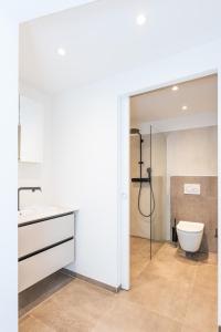 y baño con ducha, aseo y lavamanos. en 2,5 Zimmer Ferienwohnung mit Küche/Bad en Triesen