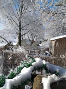 Mynd úr myndasafni af Gîte Les 7 Frênes í Vaux-sur-Sûre