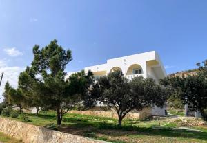 una casa bianca con degli alberi di fronte di Studios Fokia Beach ad Amoopi