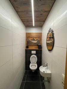 a bathroom with a toilet and a sink at Pension und Apartment Edelweiß in Heiligenblut