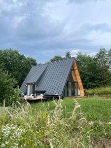 een huis met een metalen dak op een veld bij Cabana A-frame Cricov 9 in Valea Lungă-Ogrea