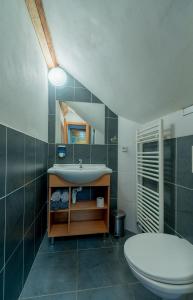 a bathroom with a sink and a toilet at Penzion pod Pralesem in Velké Karlovice