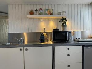 een keuken met een wastafel en een magnetron op een aanrecht bij Appartement Zuid 5 in Zandvoort