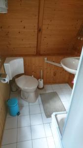 a bathroom with a toilet and a sink at Ferienhaus Typ - Finnhütte in Mühl Rosin