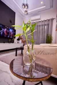 Parakou的住宿－Luxury Suites，玻璃瓶,玻璃桌上放植物