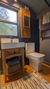 Chediston的住宿－Blue Sky Huts，一间带水槽和卫生间的浴室
