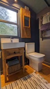 a bathroom with a sink and a toilet at Blue Sky Huts in Chediston