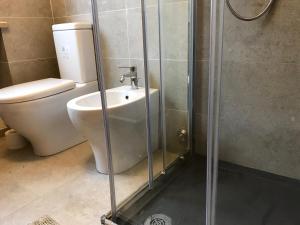 a bathroom with a toilet and a shower at appartamento SELVA VAL GARDENA in Plan