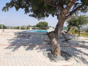a tree sitting next to a swimming pool at Inkwazi Getaway Lodge in Manzini