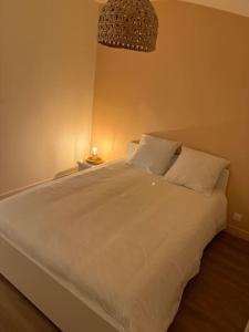 1 dormitorio con 1 cama blanca y 2 almohadas en Le pavillon de César en Quesnoy-sur-Deûle