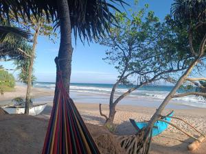 a hammock on a beach with the ocean at Beach House Kalukatiya - Family Villa, Seaview Room, Garden Room in Dickwella