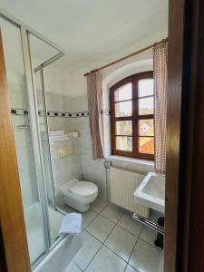 a bathroom with a toilet and a shower and a sink at Alte Gerberei in Bautzen