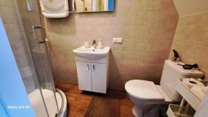 ein Bad mit einem WC und einem Waschbecken in der Unterkunft KaunasInn LA in Kaunas