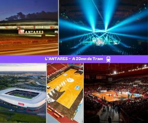 un collage di quattro foto di una partita di basket di Flexy - T2 - L' Agate Grise - Le Mans a Le Mans