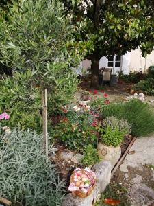 a garden with a basket of plants and a tree at Au Logis de Véchillot in Angoulême