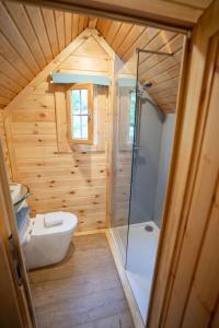 a small bathroom with a shower and a toilet at Chestnut Tree House with Hot tub & Sauna in Barmouth