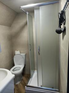 トビリシにあるZe Oni Glampingのバスルーム(シャワー、トイレ、洗面台付)