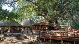 un bâtiment avec un arbre et des escaliers en face de celui-ci dans l'établissement Tuli Safari Lodge Mashatu, à Lentswelemoriti