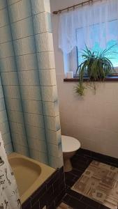La salle de bains est pourvue d'une baignoire, de toilettes et d'une fenêtre. dans l'établissement Apartmá Adam, à Rokytnice nad Jizerou