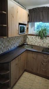Η κουζίνα ή μικρή κουζίνα στο Apartmá Adam