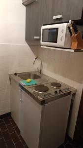 Η κουζίνα ή μικρή κουζίνα στο Apartmá Adam
