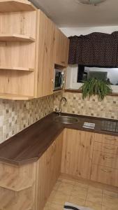 Η κουζίνα ή μικρή κουζίνα στο Apartmá Adam