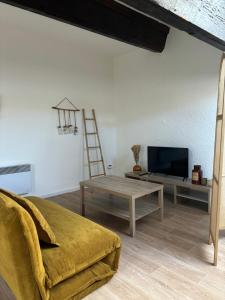 uma sala de estar com um sofá, uma televisão e uma mesa em Le Maurice - appartement centre-ville em Valence